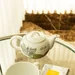 Lili's Tea green Teapot